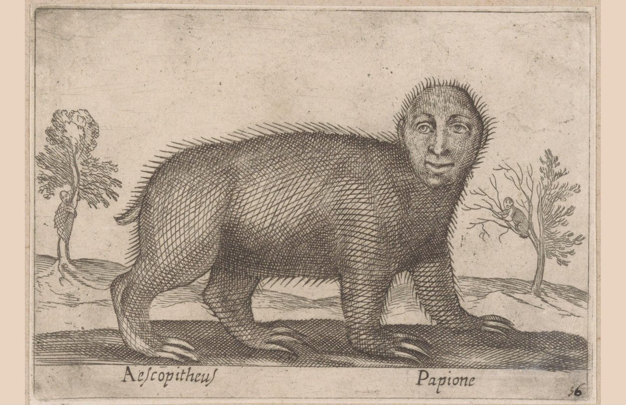 卢亚尔
Aescopitheus/ Papione（物品上的标题）
Dieren en fabelwezens（系列名称）
Nova raccolta de li animali più curiosi del mondo（系列名称） 作者 安东尼奥·坦佩斯塔