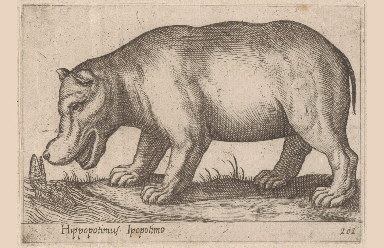 奈尔帕德
Hippopotimus/ Hippopotimo（物品上的标题）
Dieren en fabelwezens（系列名称）
Nova raccolta de li animali più curiosi del mondo（系列名称） 作者 安东尼奥·坦佩斯塔