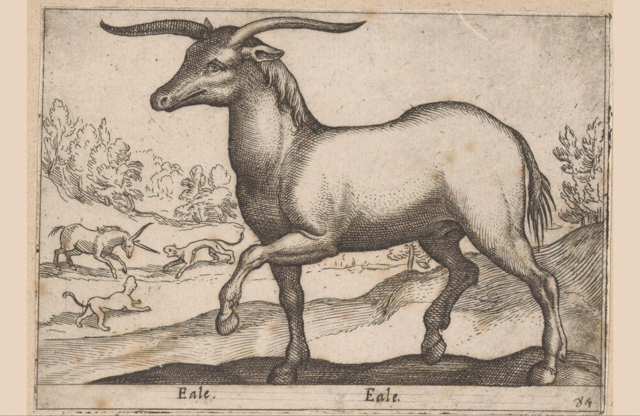 带角的马
Eale/ Eale（物品上的标题）
动物和神兽（系列名称）
Nova raccolta de li animali piu curiosi del mondo（系列名称） 作者 安东尼奥·坦佩斯塔