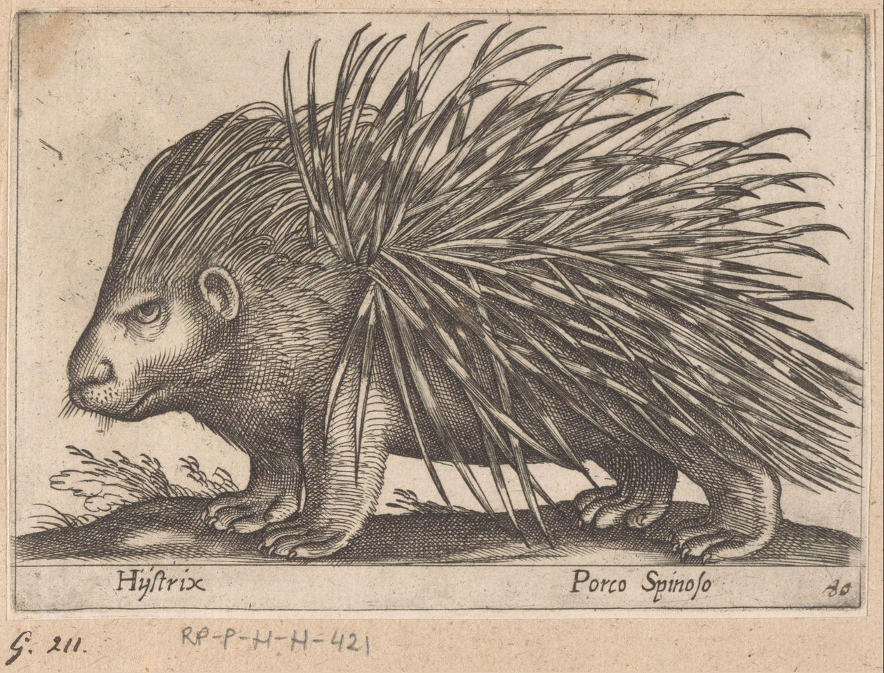 凳子
Hijstrix/ Porco Spinoso（物品上的标题）
Dieren en fabelwezens（系列名称）
Nova raccolta de li animali più curiosi del mondo（系列名称） 作者 安东尼奥·坦佩斯塔