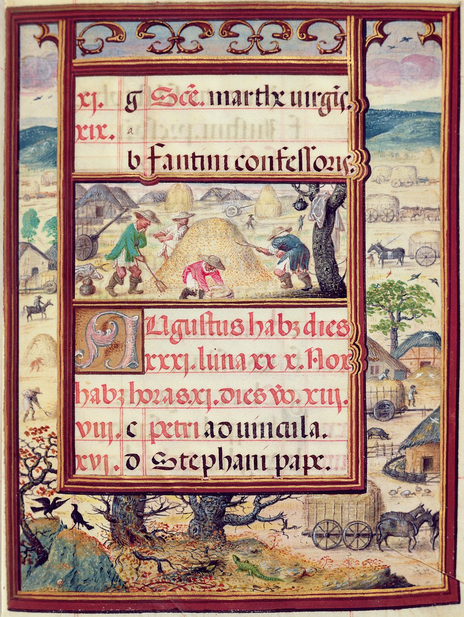 8月份，来自&39;Dom Manuel的小时书&39;的缩影，1517-38（牛皮纸上的蛋彩画） 作者 安东尼奥·德·奥朗达