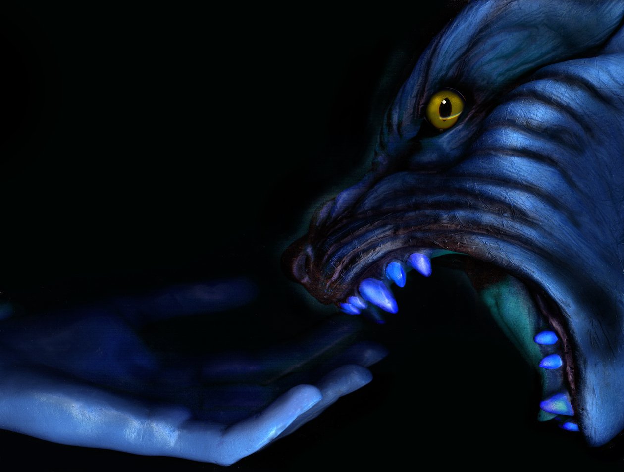 侵略与回复，2011 年（照片） 作者 