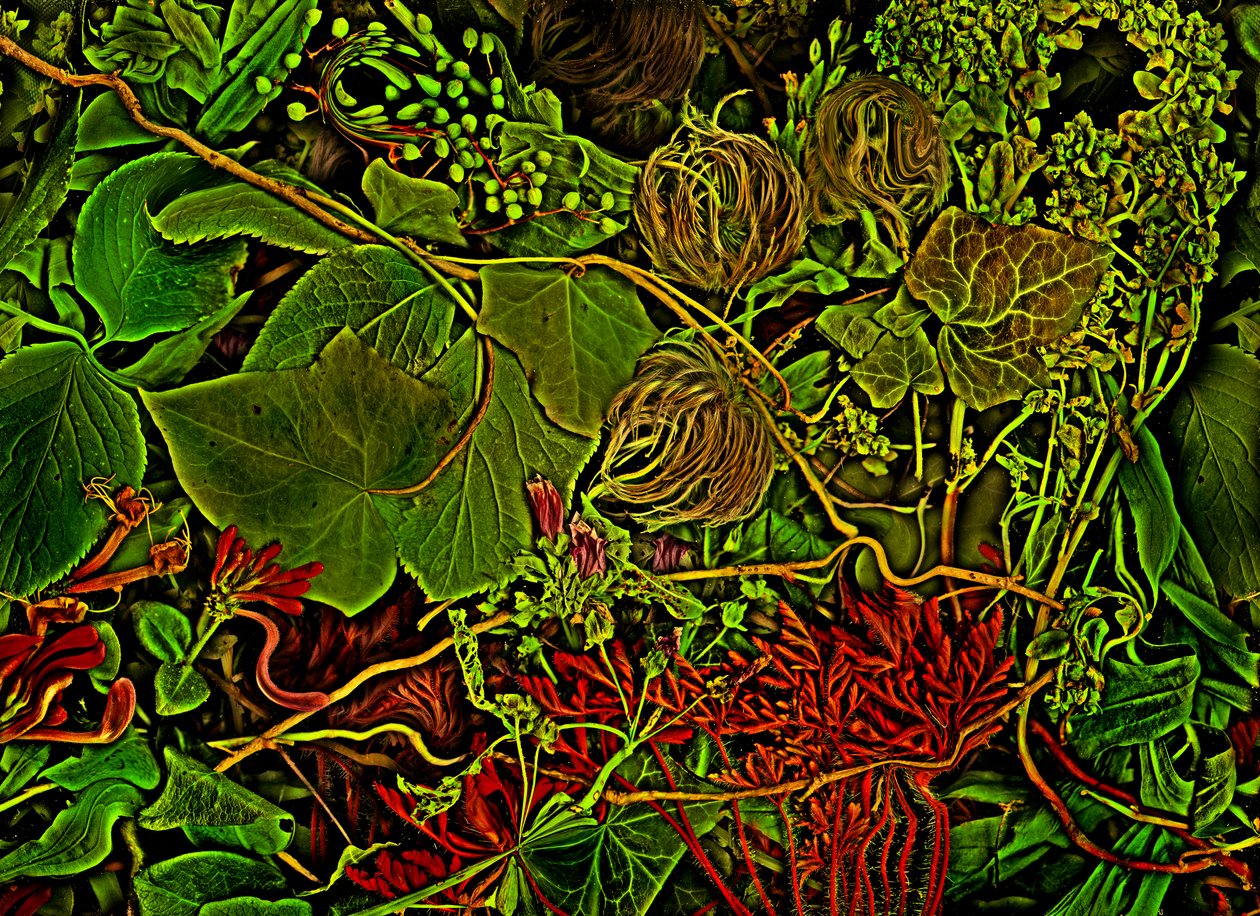 2025 年，安德斯世界（Anderswelt-the field）（图片 作者 