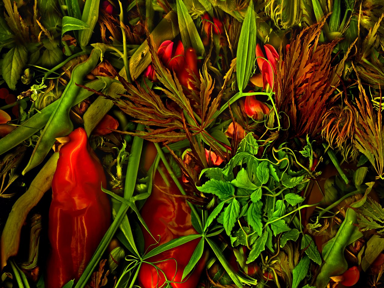 另一个世界，2025 年（照片） 作者 