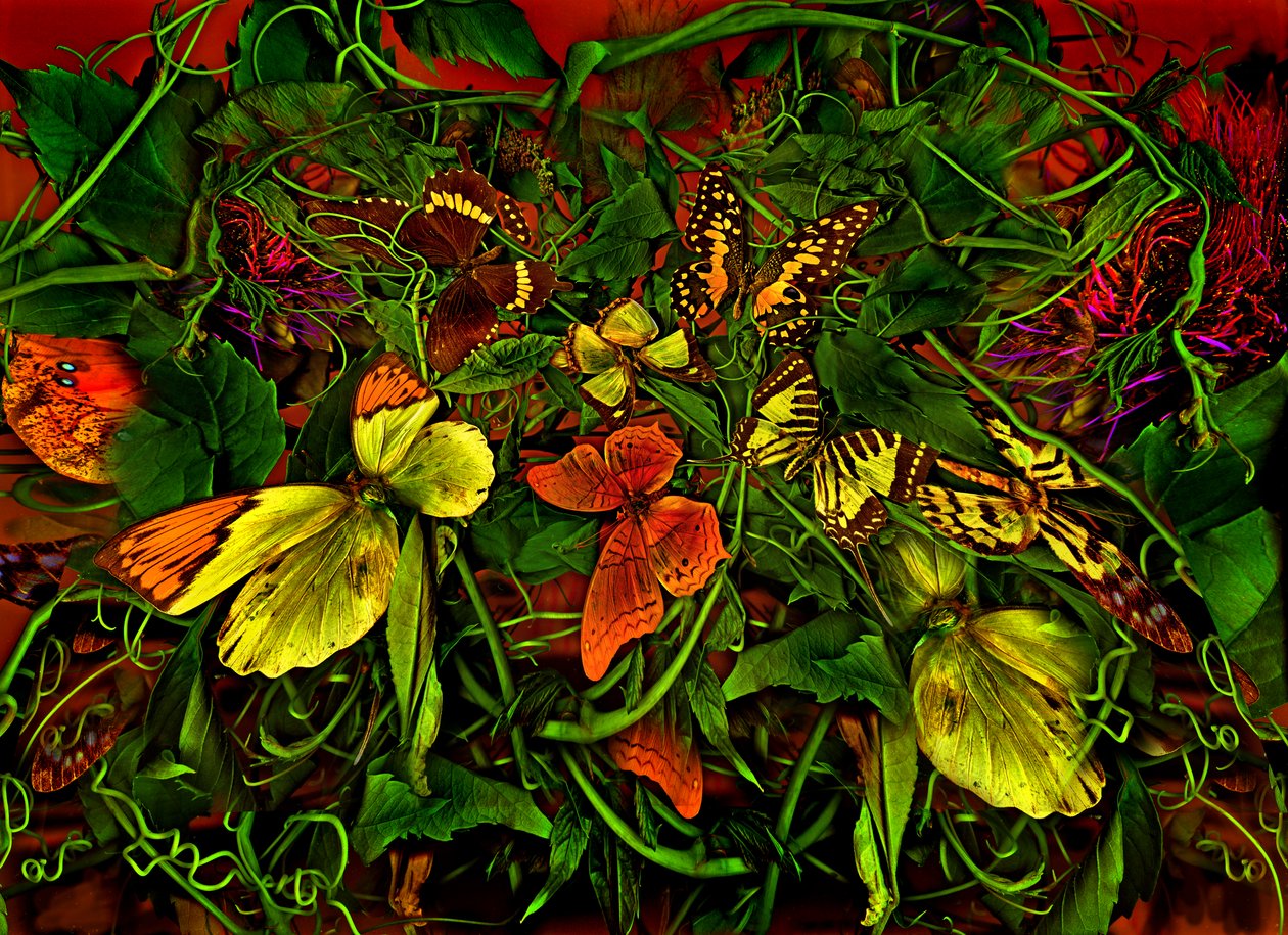 安德斯世界 102-1 号，2025 年（照片） 作者 