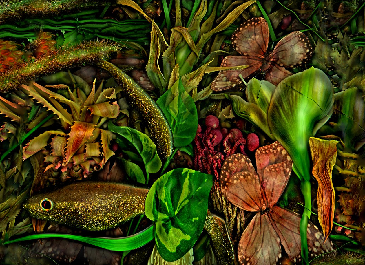 安德斯世界》2015 年第 3-5 期（图片） 作者 