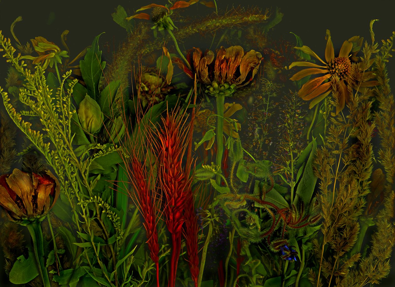 安德斯世界》2019 年第 92 期（图片） 作者 