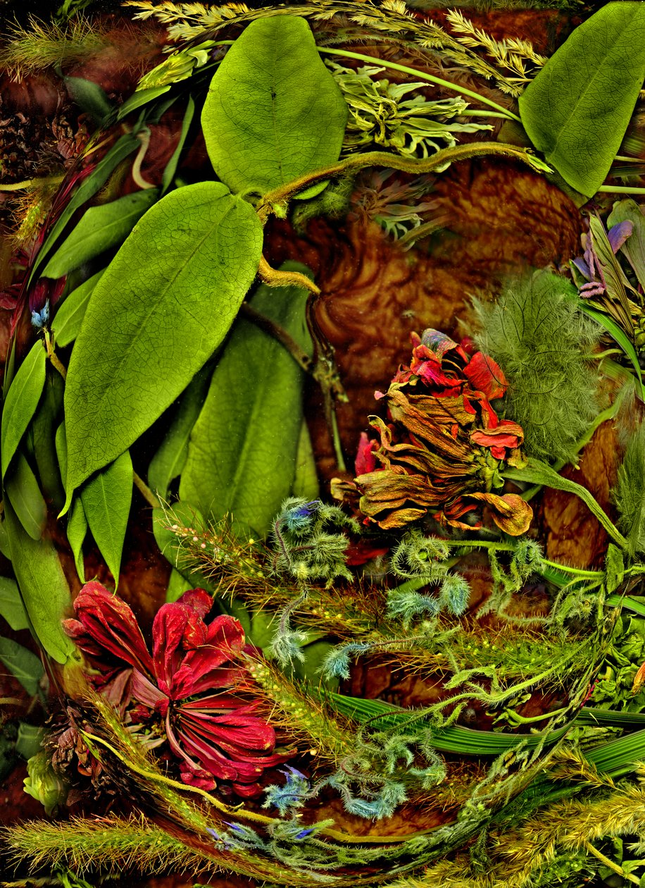 异世界》第 113 期 作者 