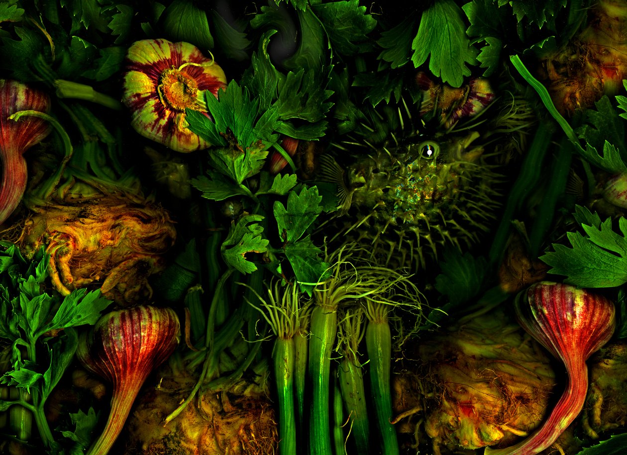 其他世界》2017 年第 20 期（图片） 作者 