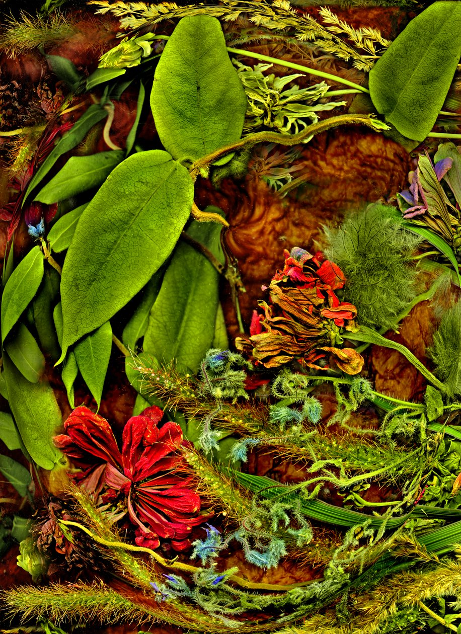 异世界》第 2 期，2025 年（照片） 作者 