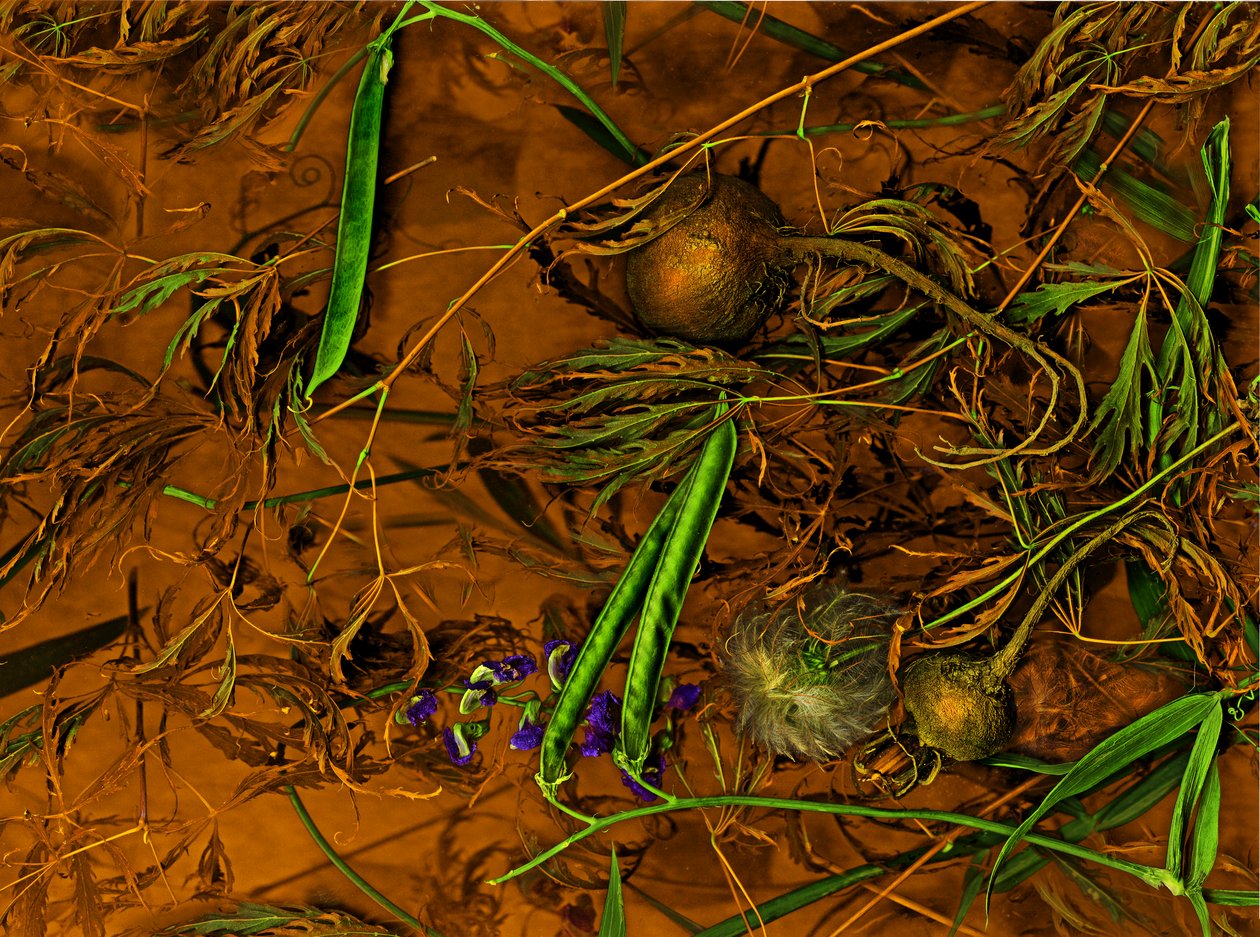 地球艺术》2014 年第 2 期（照片） 作者 