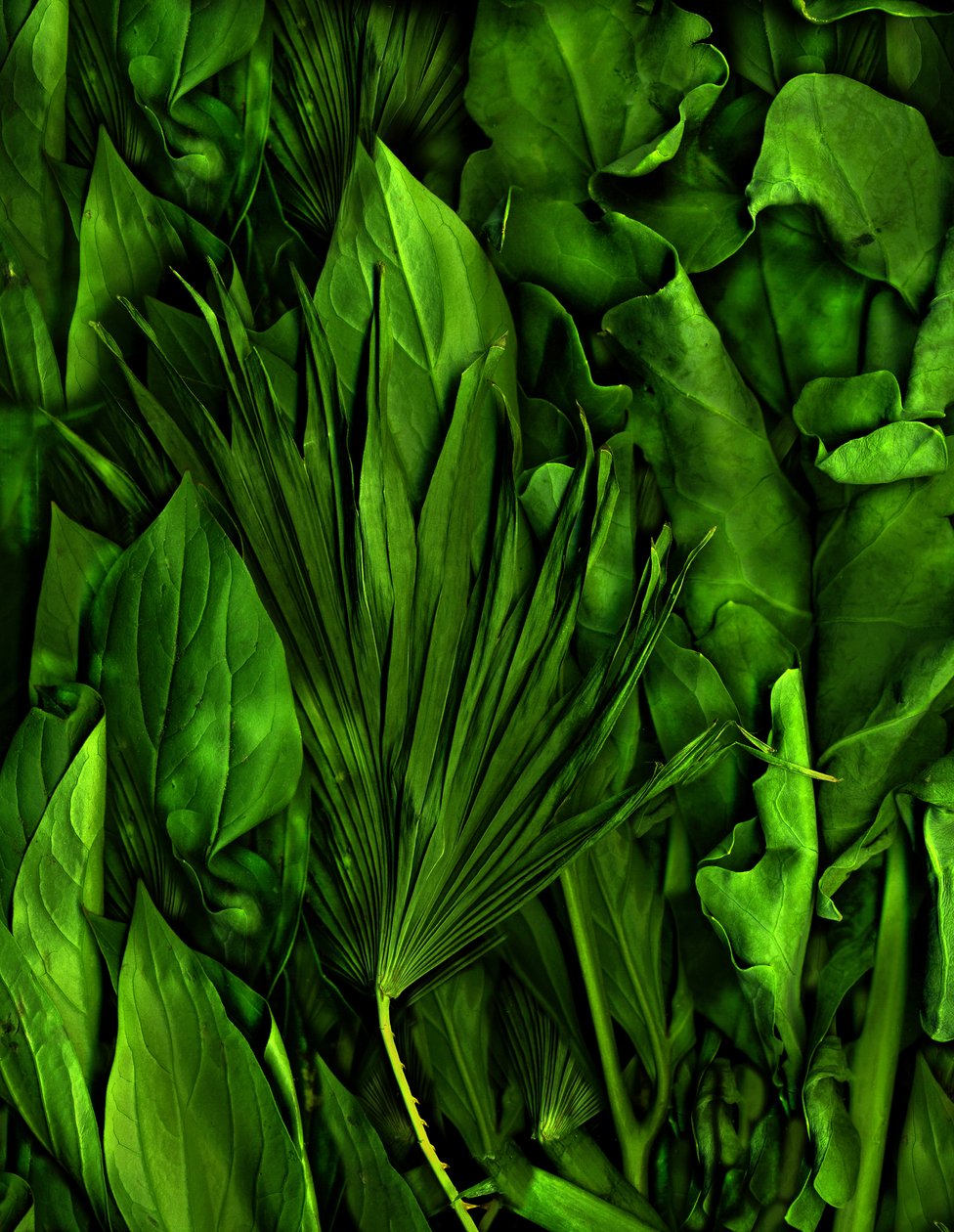 魔幻花园 No.6-3，2020 年（照片） 作者 