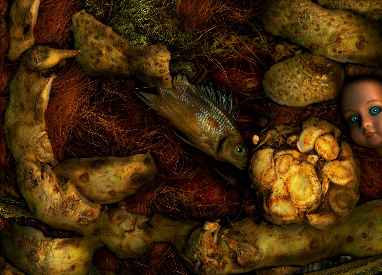 魔幻花园第 70 号，2014 年（照片） 作者 