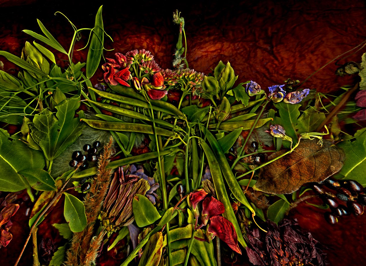 静物，2014年3月（照片） 作者 