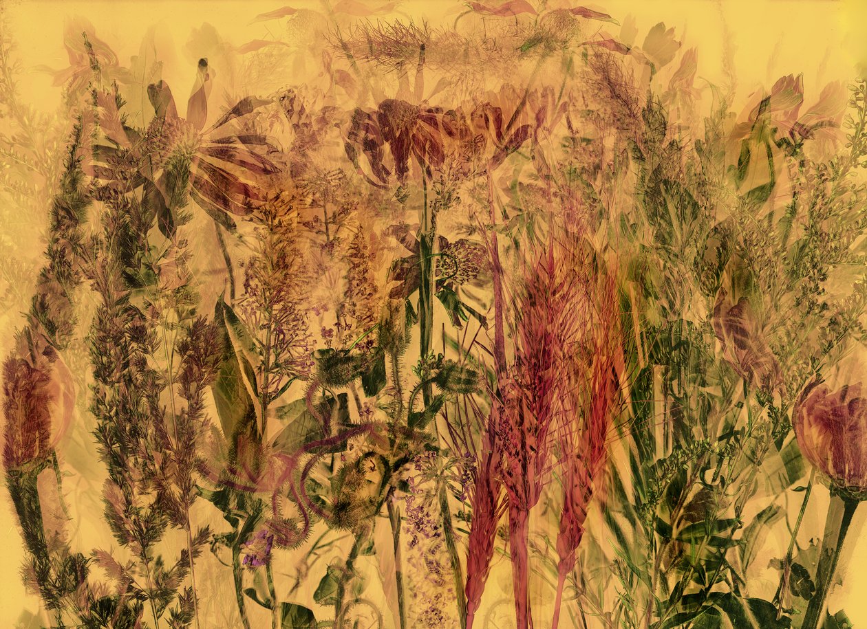 anderswelt 92 作者 