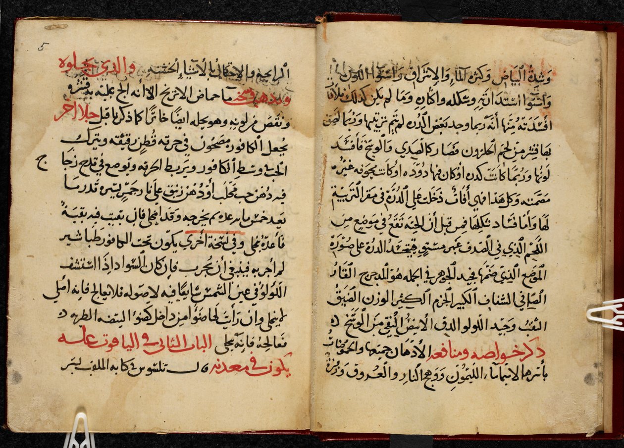 艾哈迈德-本-优素福-阿尔-提法希（Ahmad bin Yusuf Al-Tifashi）的《Kitab al-Ahjar》或《宝石之书》手稿中的几页，抄写于伊斯兰历 799 年/公元 1397 年。或 1198 年 作者 阿拉伯语学校