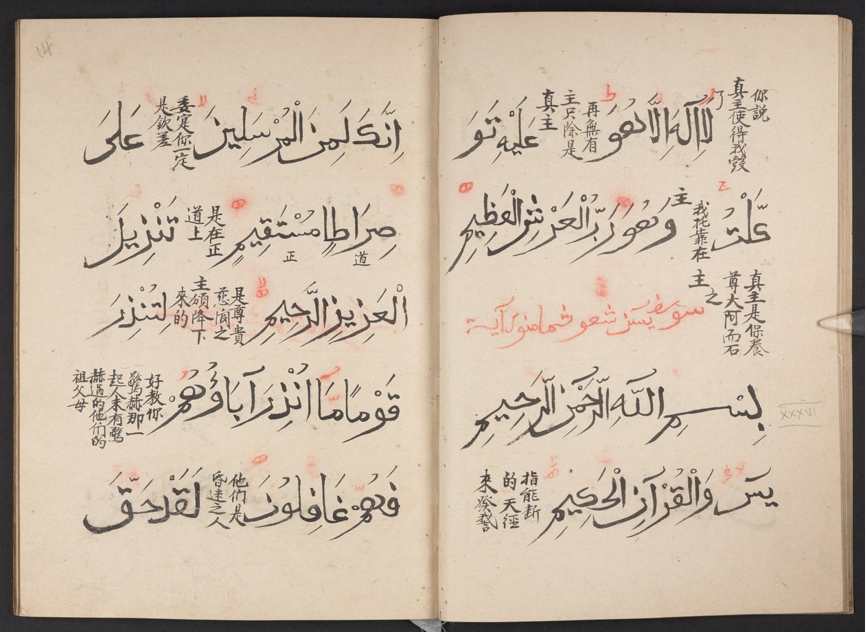 古兰经》，BL IO Islamic 3440，f.13v-14r 作者 阿拉伯语学校