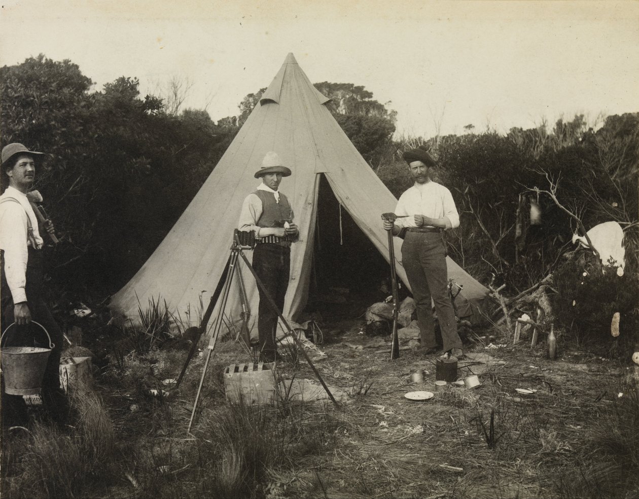 Camp View，野生自然主义者俱乐部远征国王岛 作者 阿奇博尔德·詹姆斯·坎贝尔