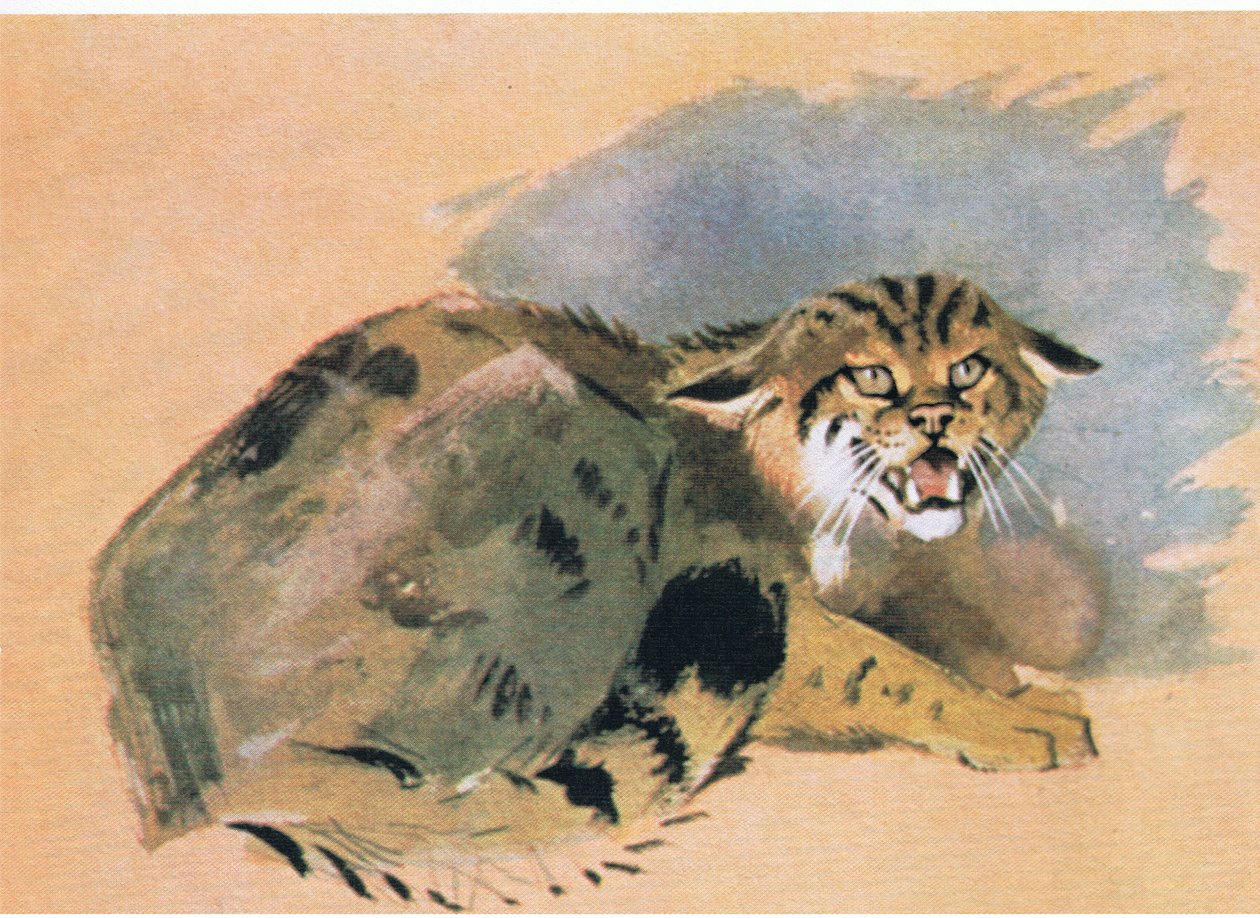 野猫，酒吧。作者：Book Club Associates，1972 作者 阿奇博尔德·索伯恩