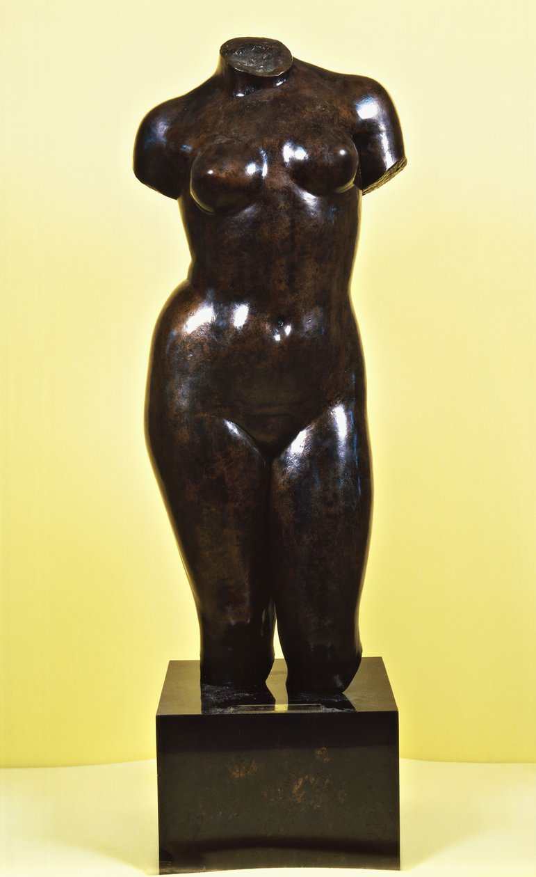金星;金星的躯干，约1920年（青铜色和古铜色） 作者 阿里斯蒂德·马约尔