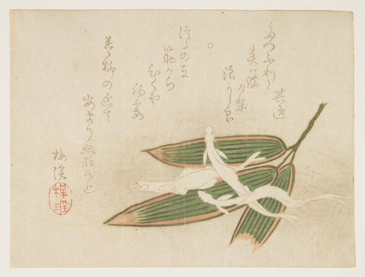 （银鱼和竹叶），c。 1860 作者 有原白姬