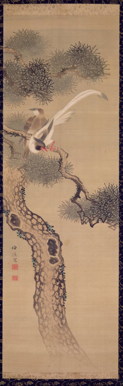 松树中的长尾鸟，c.1800（丝绸上的墨水和颜色） 作者 有原白姬