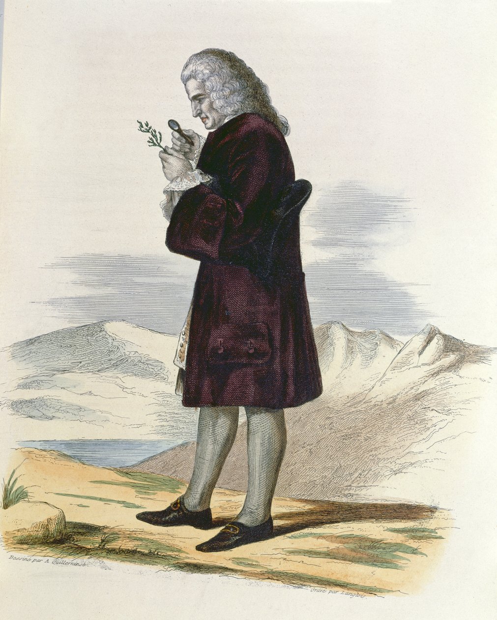 Jussieu的Bernard（1699-1777）c.1820 作者 阿曼·吉列米诺