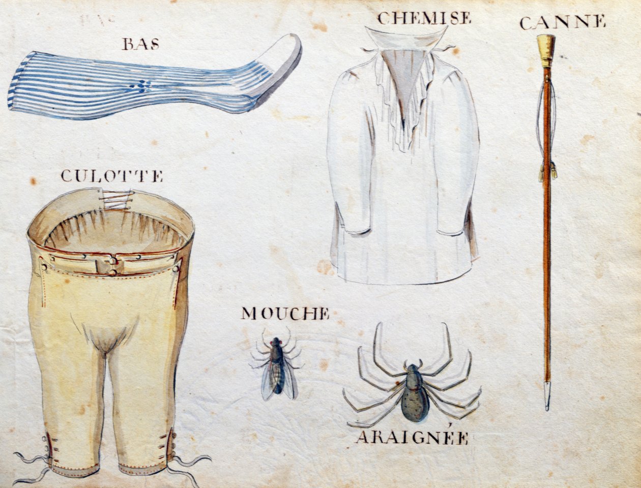 插图来自&39;1814年法国字母书&39;，酒吧。作者：Charles Plante Fine Arts，1814 作者 Arnaud de Beauregard