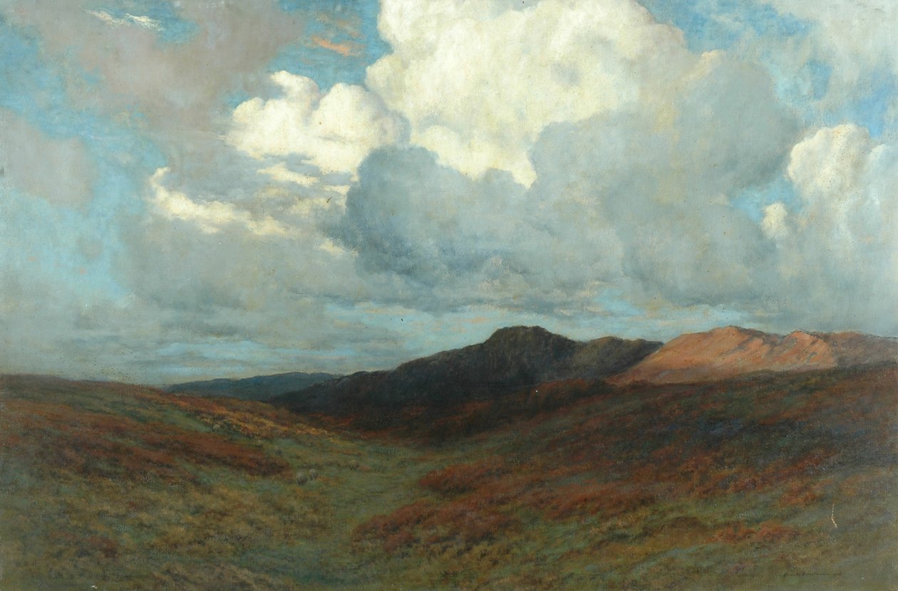 Moorland，c.1907 作者 阿诺德牧师