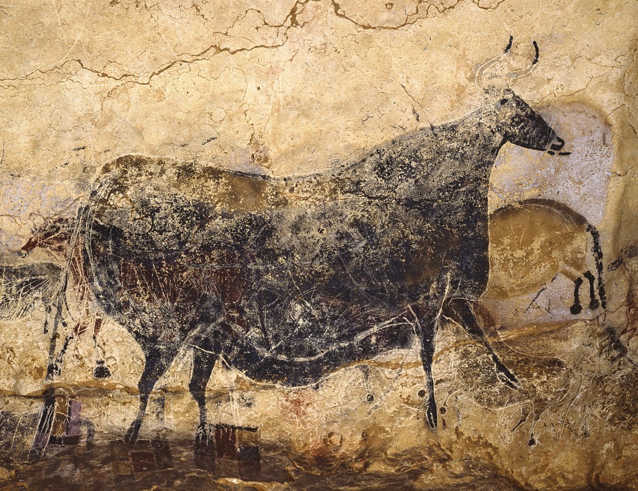 黑牛。拉斯科洞穴绘画，约公元前16.000-15.000年。 作者 旧石器时代晚期的艺术。