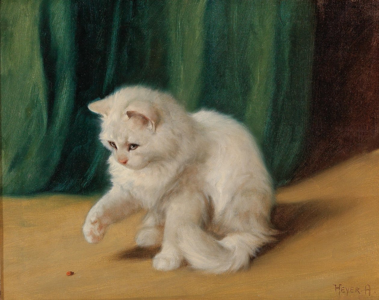 与瓢虫的猫 作者 亚瑟·海耶（Arthur Heyer）