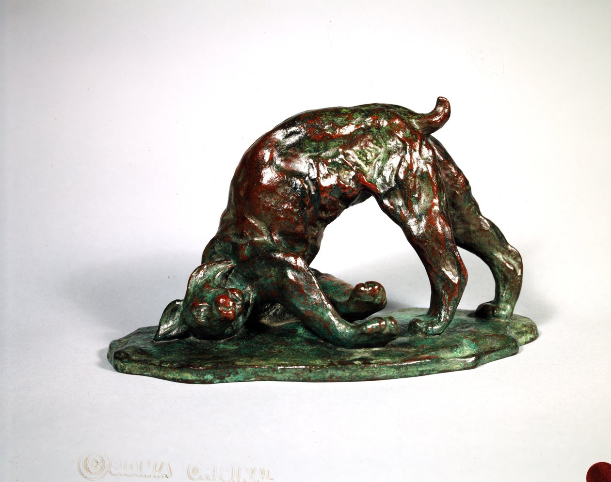 Skunked Lynx，1909（铜牌） 作者 阿瑟·普特南