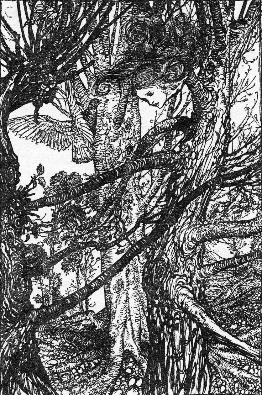 刘易斯卡罗尔的“爱丽丝梦游仙境” 作者 亚瑟·拉克汉姆（Arthur Rackham）
