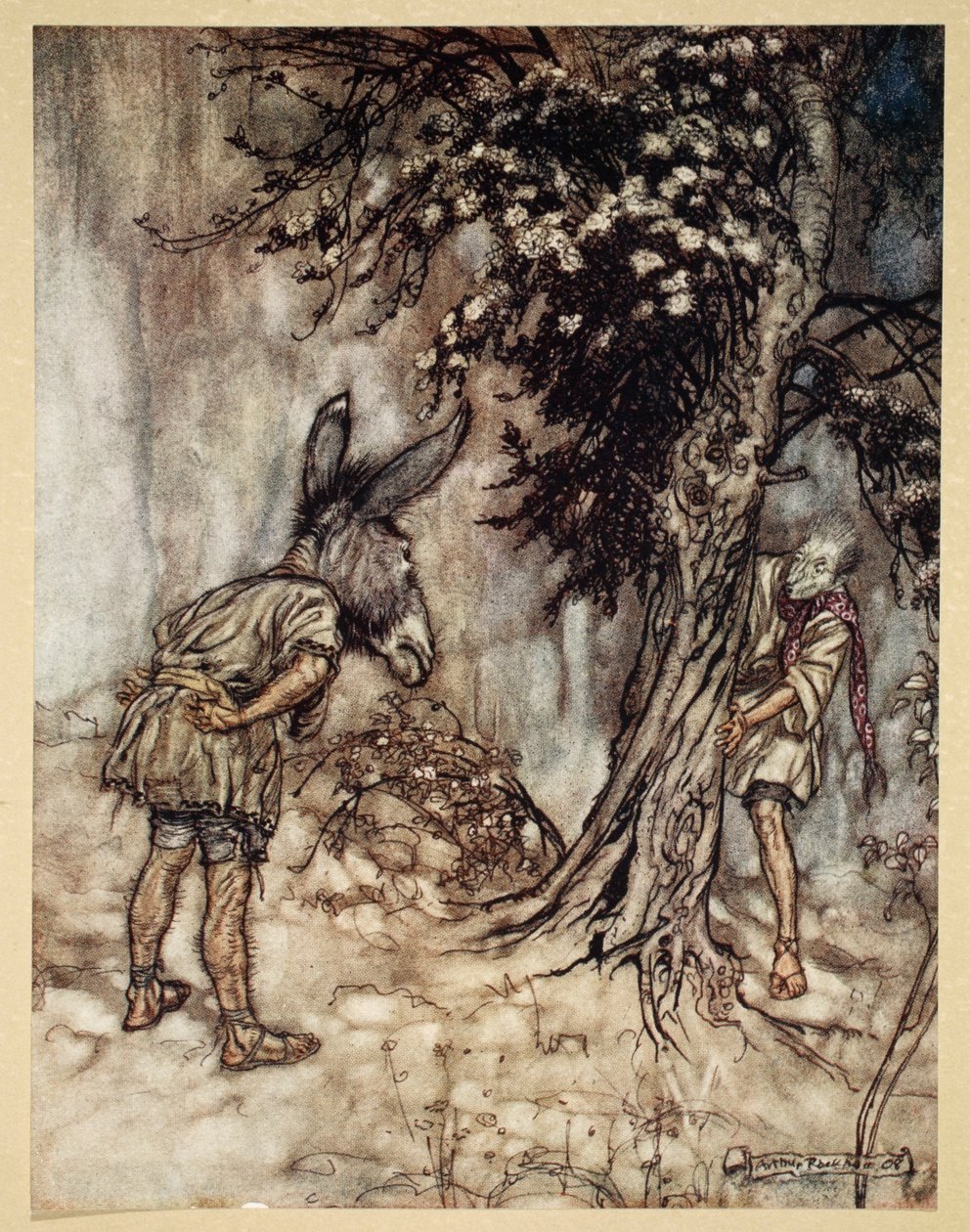 O Bottom，你改变了！，威廉·莎士比亚的“仲夏夜之梦”中的插图，1908年 作者 亚瑟·拉克汉姆（Arthur Rackham）