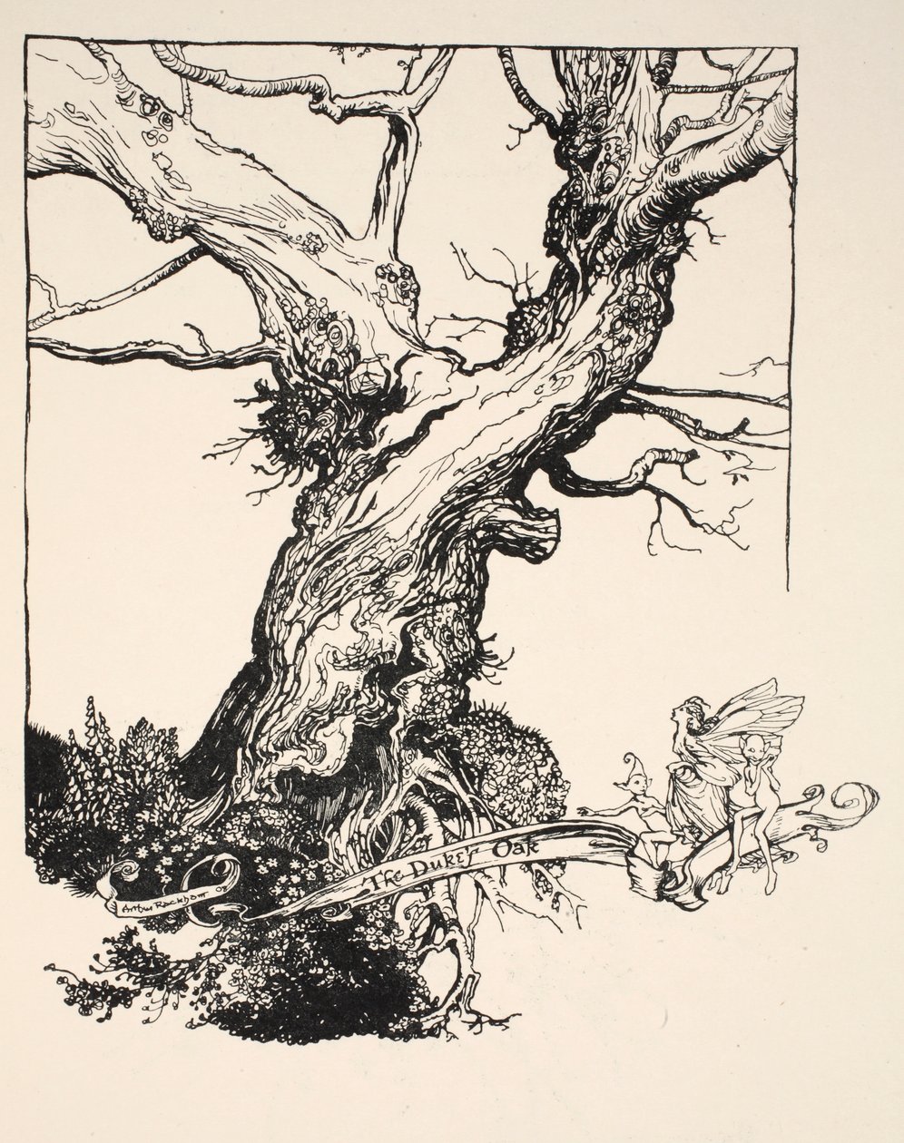 公爵的橡树，1908年威廉·莎士比亚的“仲夏夜之梦”中的插图 作者 亚瑟·拉克汉姆（Arthur Rackham）