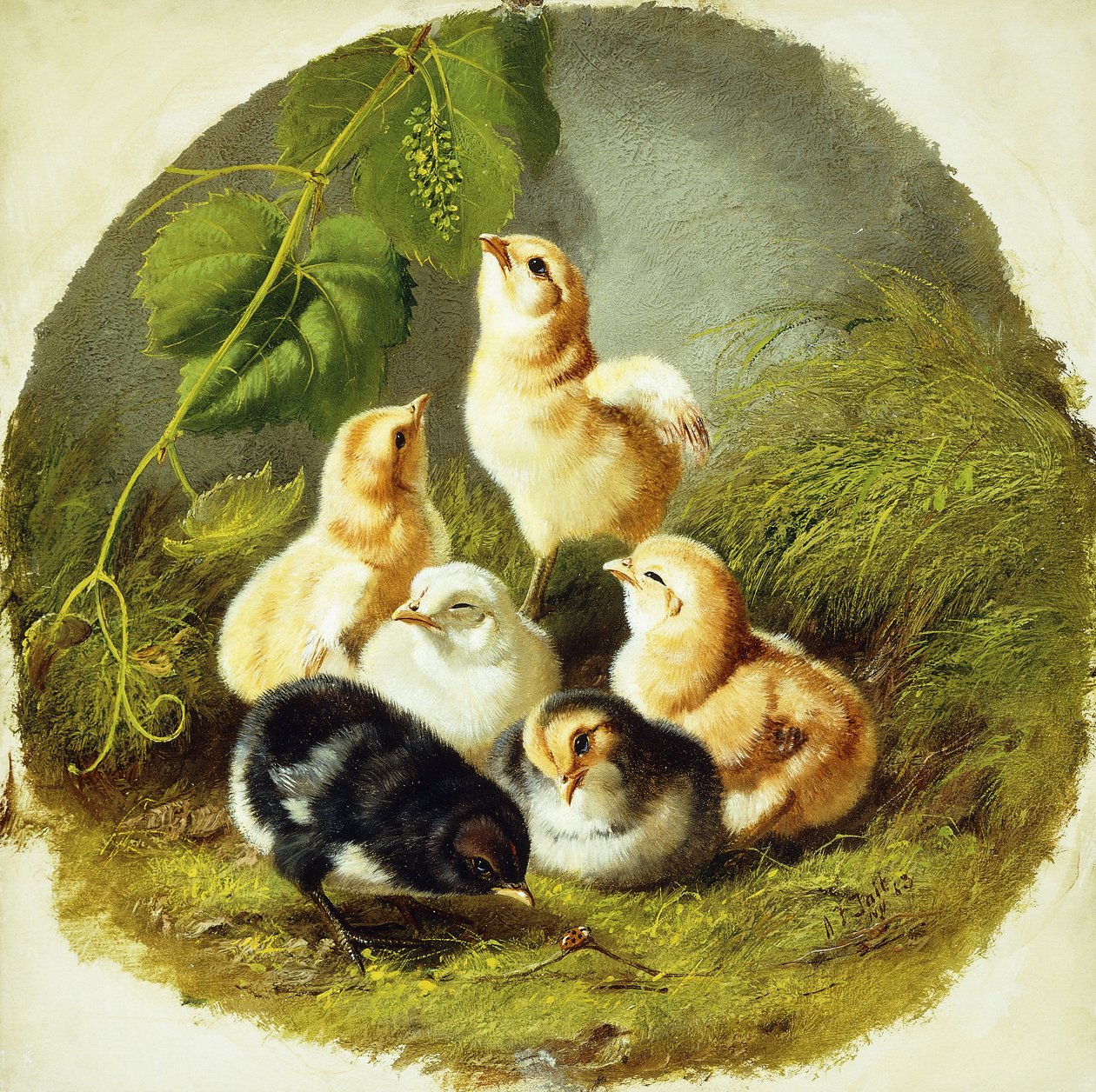小鸡，1863年 作者 阿瑟·菲茨威廉·泰特