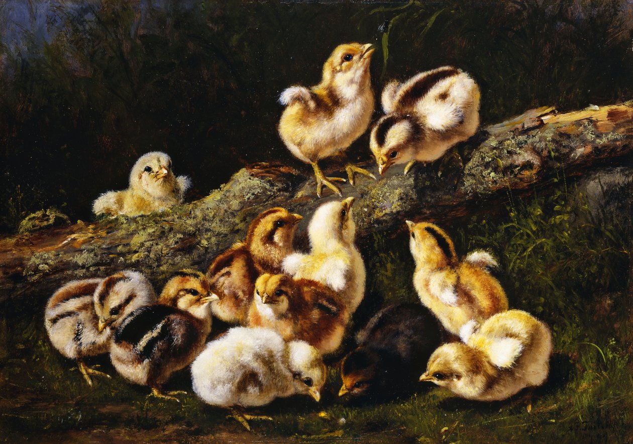 小宠物，1899年 作者 阿瑟·菲茨威廉·泰特