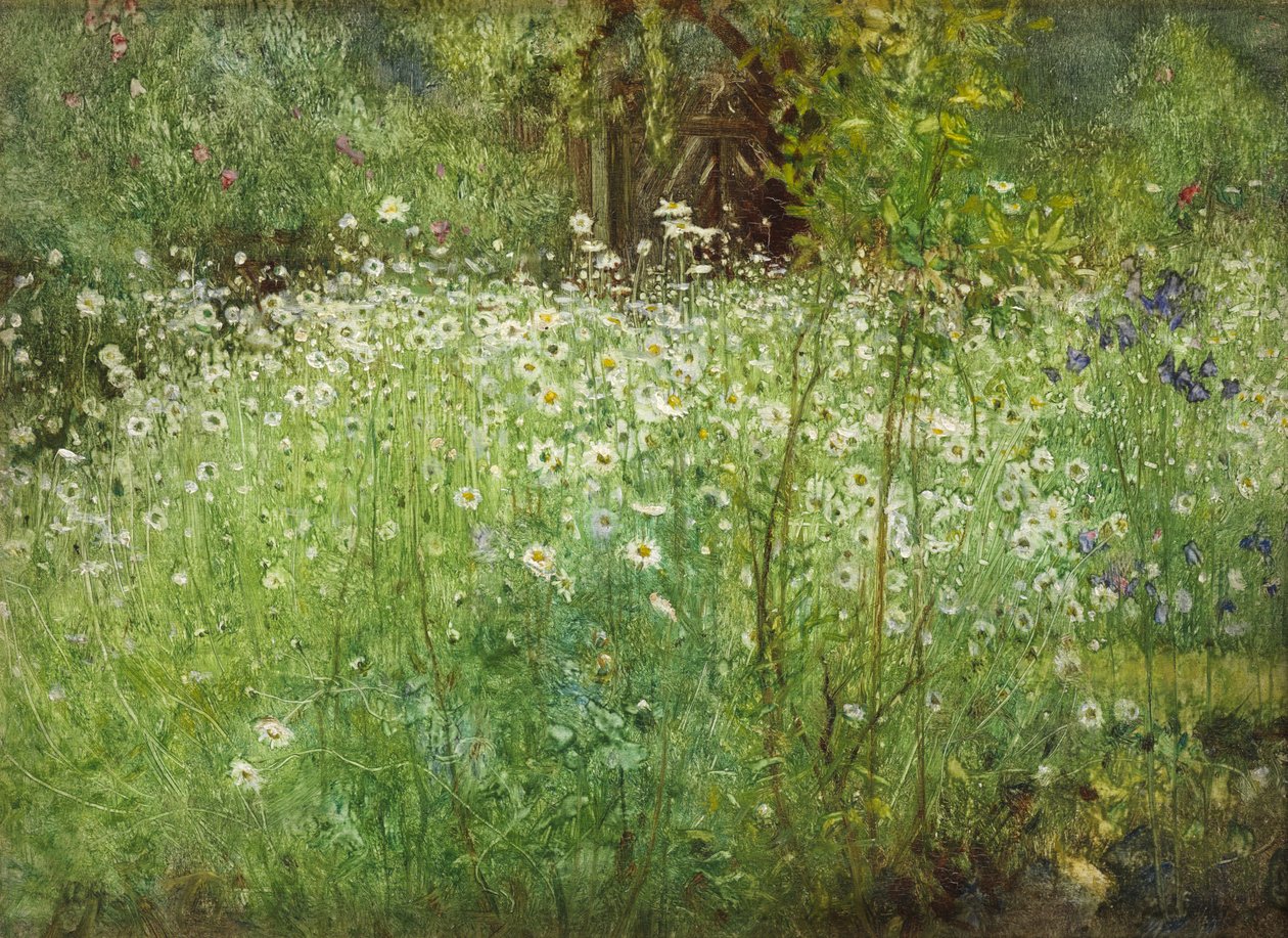 牛眼雏菊和鸢尾花，1920年 作者 亚瑟·哈克