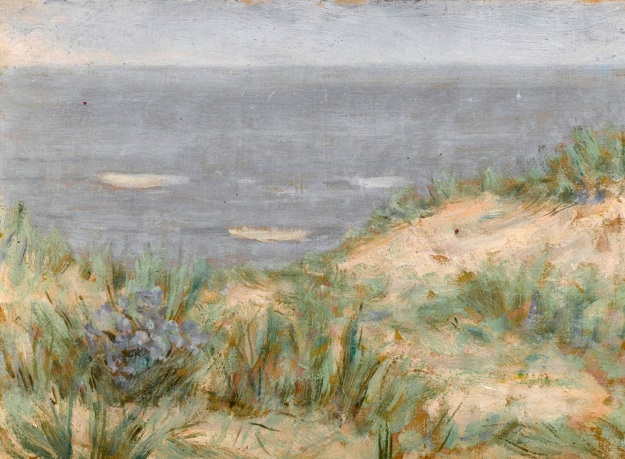 与沙丘的海景，开花的海草，c.1900 作者 亚瑟·海索恩·斯塔德