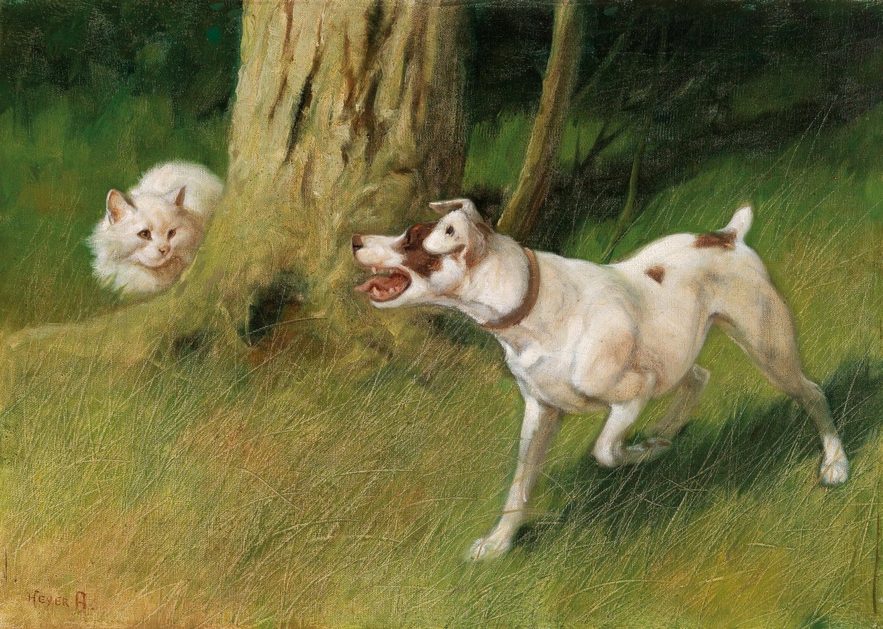 猫狗 作者 亚瑟·海耶（Arthur Heyer）
