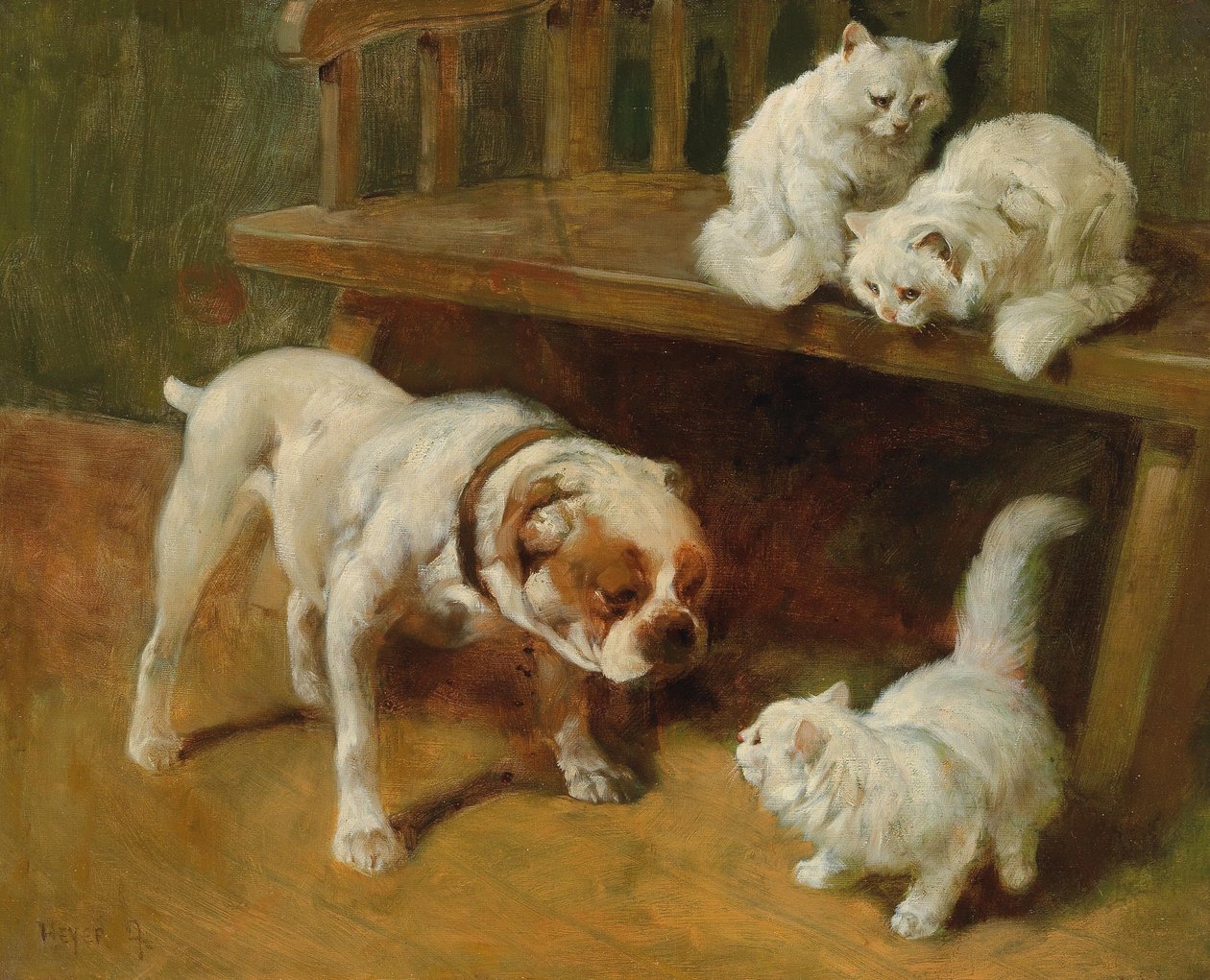 猫狗 作者 亚瑟·海耶（Arthur Heyer）