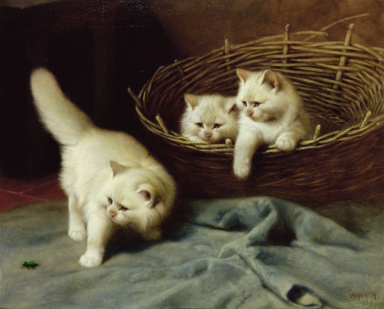 白色带甲虫的安哥拉猫，1929年 作者 亚瑟·海耶（Arthur Heyer）