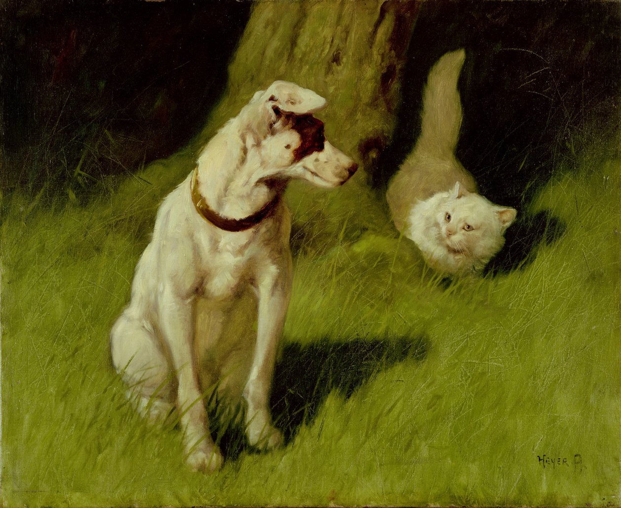 白色波斯猫和杰克罗素 作者 亚瑟·海耶（Arthur Heyer）