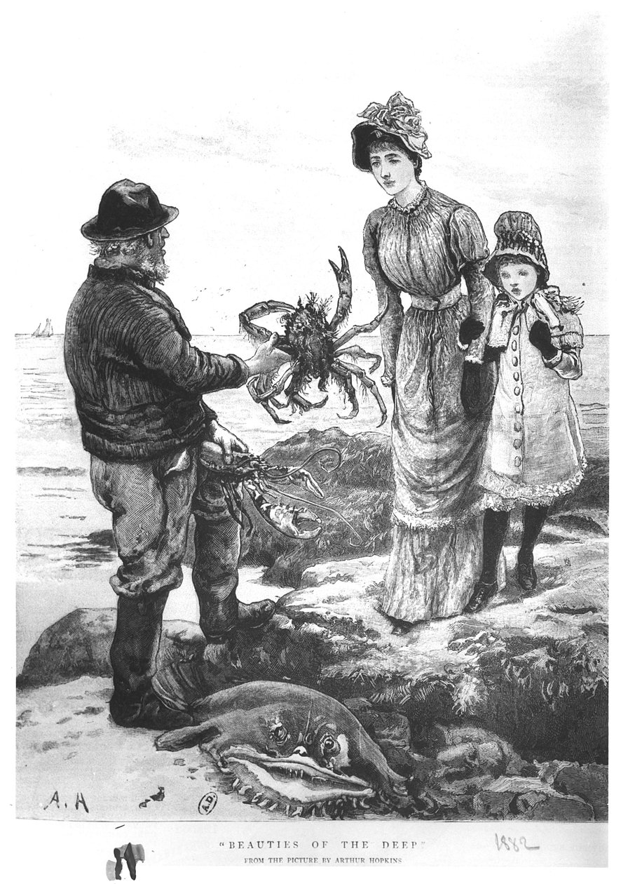 &39;深刻的美人&39;，1882年 作者 亚瑟·霍普金斯