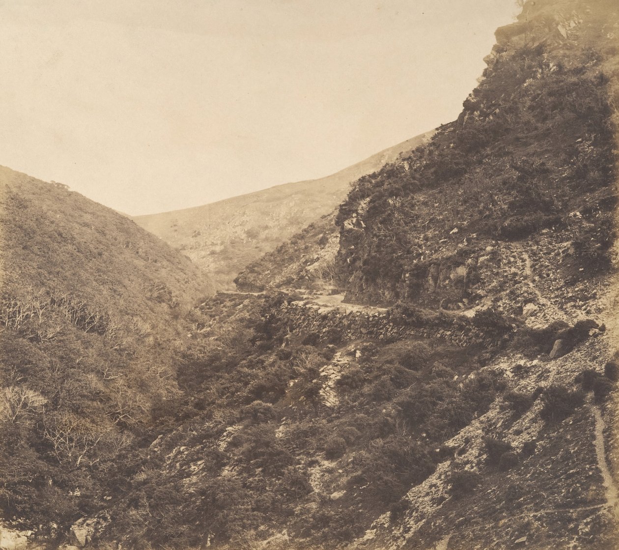 在通往沃特米特的路上，北德文郡林顿附近，1856年。 作者 阿瑟·朱利叶斯·波洛克