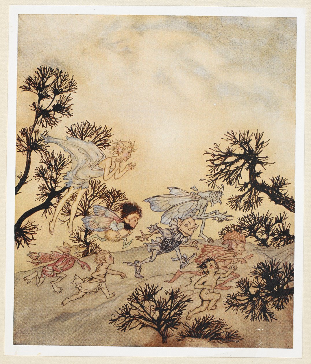 第四幕：第一场，第 259 行
让我的妖精们
磨碎他们的关节
干涩抽搐 作者 亚瑟·拉克汉姆（Arthur Rackham）