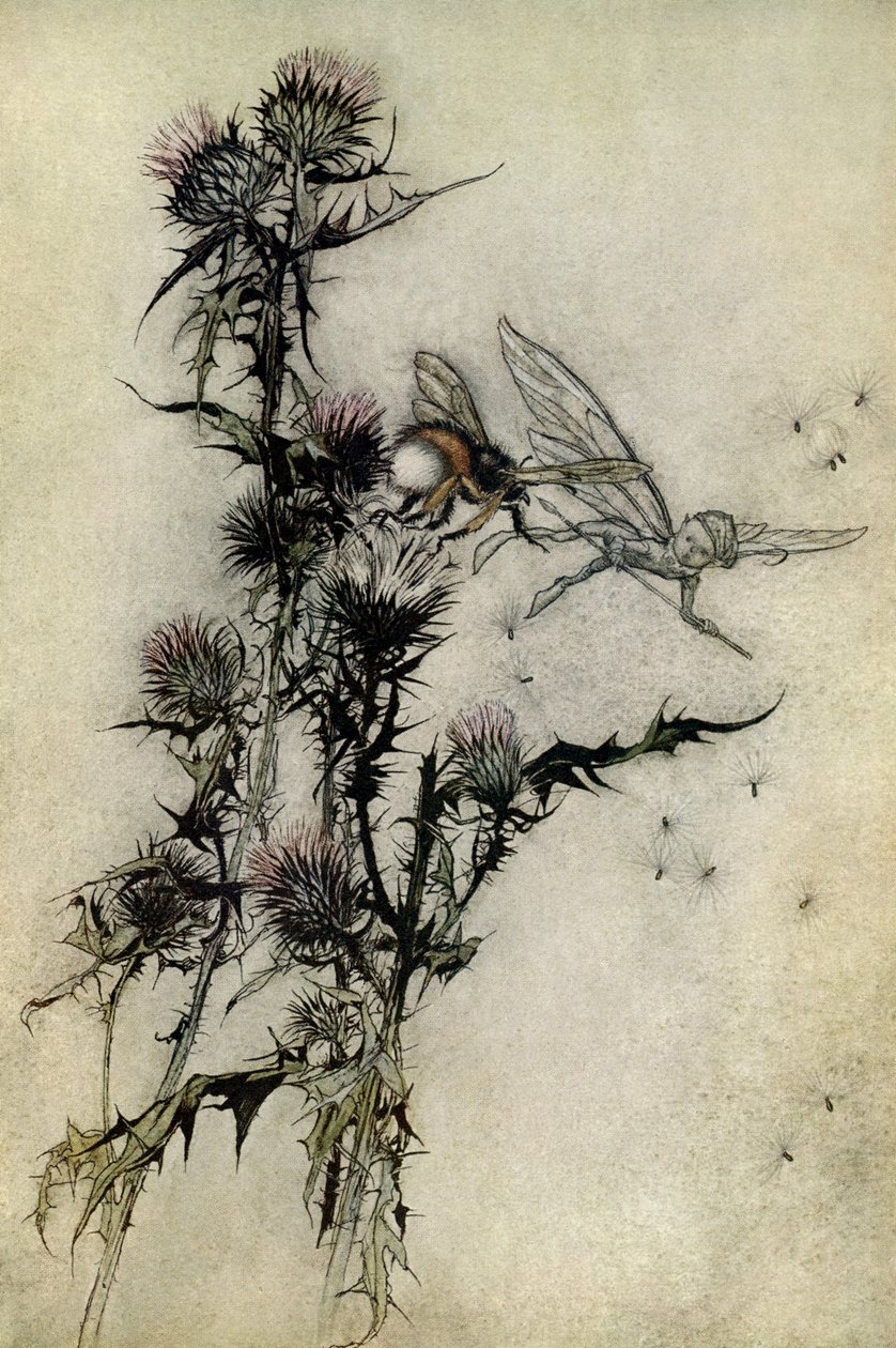 仲夏夜之梦 作者 亚瑟·拉克汉姆（Arthur Rackham）