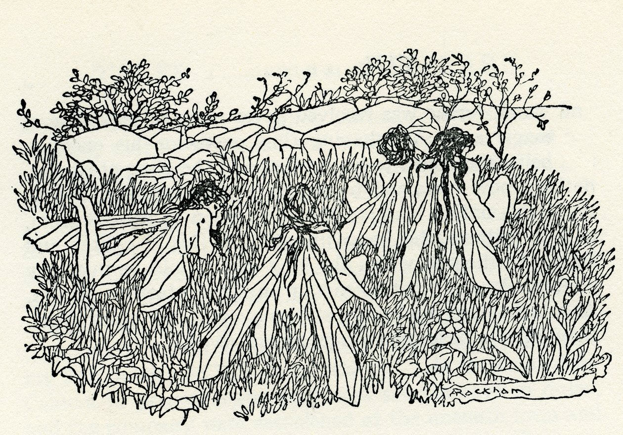 仲夏夜之梦》 作者：威廉-莎士比亚 作者 亚瑟·拉克汉姆（Arthur Rackham）