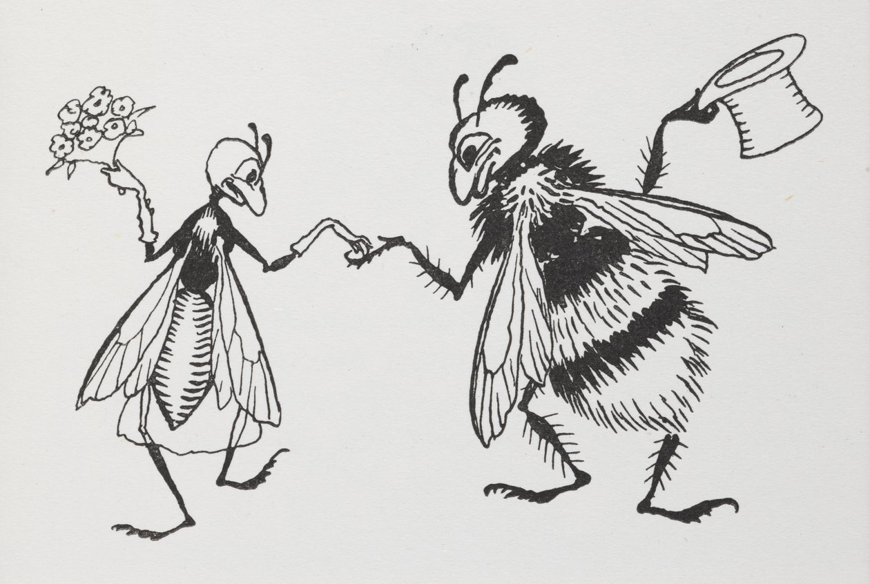 苍蝇和蜜蜂结婚了。 作者 亚瑟·拉克汉姆（Arthur Rackham）