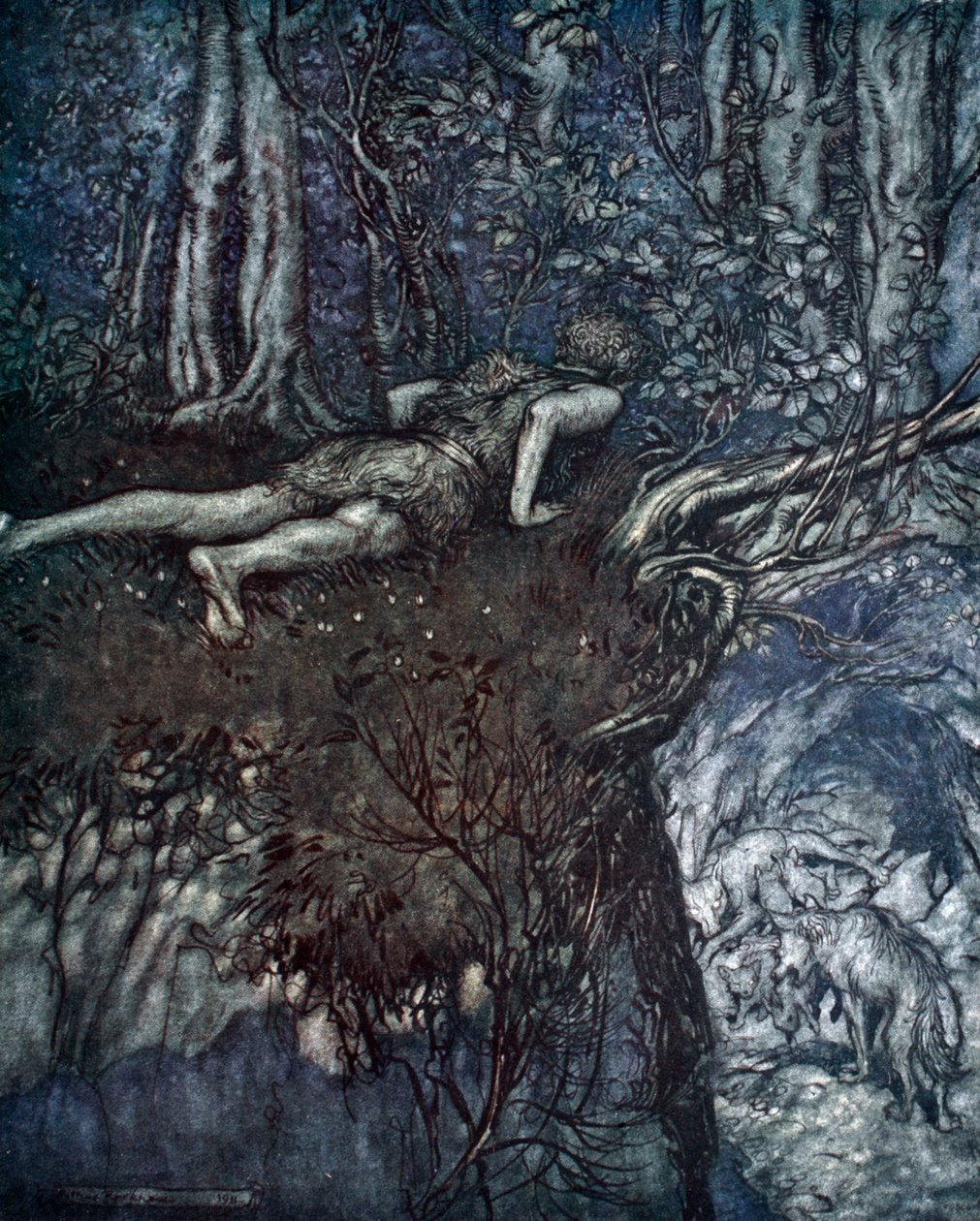 在那里我知道了爱情是什么样子的》，1924年。   作者 亚瑟·拉克汉姆（Arthur Rackham）